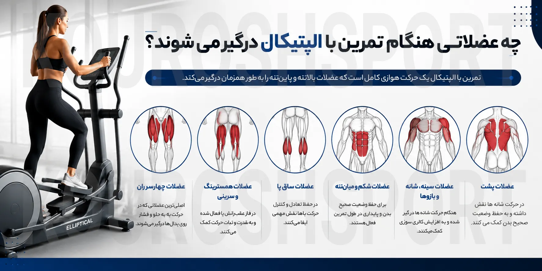 تمرین با الپتیکال برای لاغری، شکم، بازو، پا و پهلو