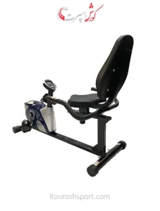 دوچرخه ثابت پاندا R533