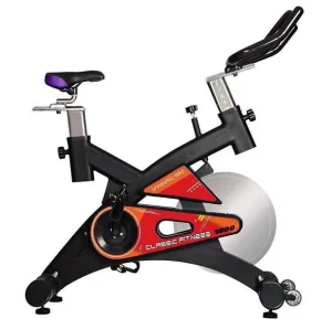 دوچرخه ثابت اسپینینگTS-300 *