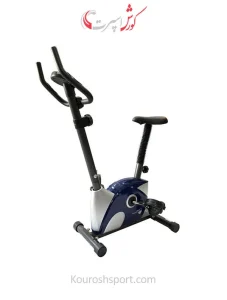دوچرخه ثابت آیرون مستر B533