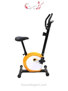 دوچرخه ثابت آیرون مستر B541