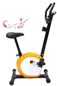 دوچرخه ثابت آیرون مستر B541 *