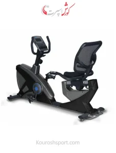 دوچرخه ثابت مبله فرش وی 8719RP