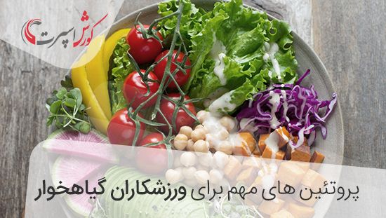 گیاه خواری و پروتئین های ورزشی