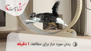 تردمیل گربه دیجی کالا