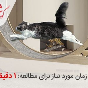 تردمیل گربه دیجی کالا