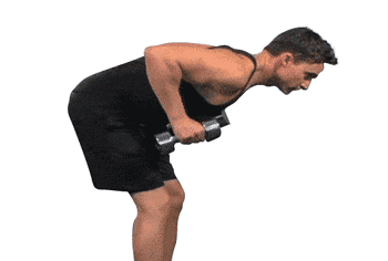 تصویر حرکت کیک‌بک عضله سه‌سر بازویی (Triceps Kickback) با دمبل