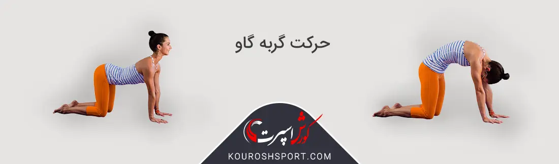 تصویر حرکت گربه گاو یوگا