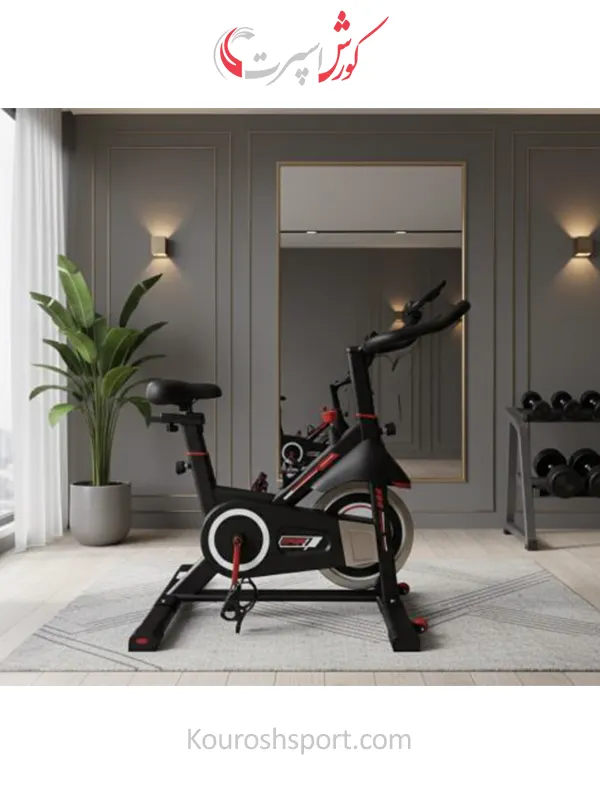 بهترین قیمت دوچرخه اسپینینگ پروفیتنس ProFitness مدل 8713