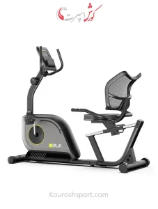 دوچرخه ثابت خانگی پاژا مدل PAJA-YK-10S19R